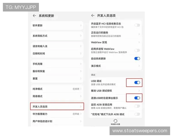 最新国际真人手机安装指南，解决用户在不同设备上遇到的安装难题与优化建议
